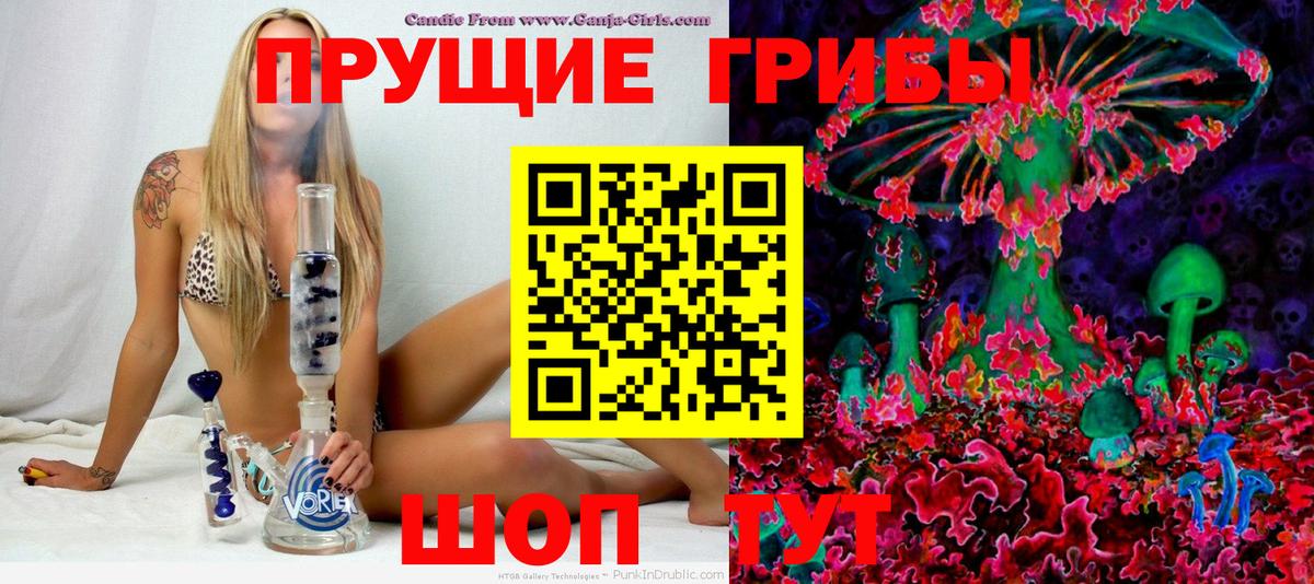 Галлюциногенные грибы Psilocybe Воронеж