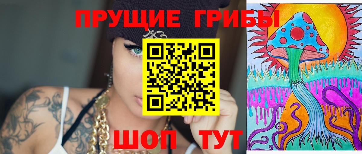 Галлюциногенные грибы Cubensis  Псилоцибиновые грибы Psilocybe  Воронеж  Вход с VPN 